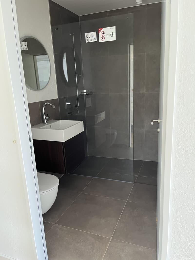 Erstvermietung 3.5 Zi-Wohnung 158m2 Loft-Style, 2600.- Fr (6)