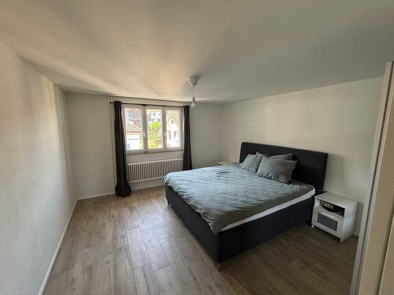 Rent a 3 ½ rooms apartment in Horgen (8)
