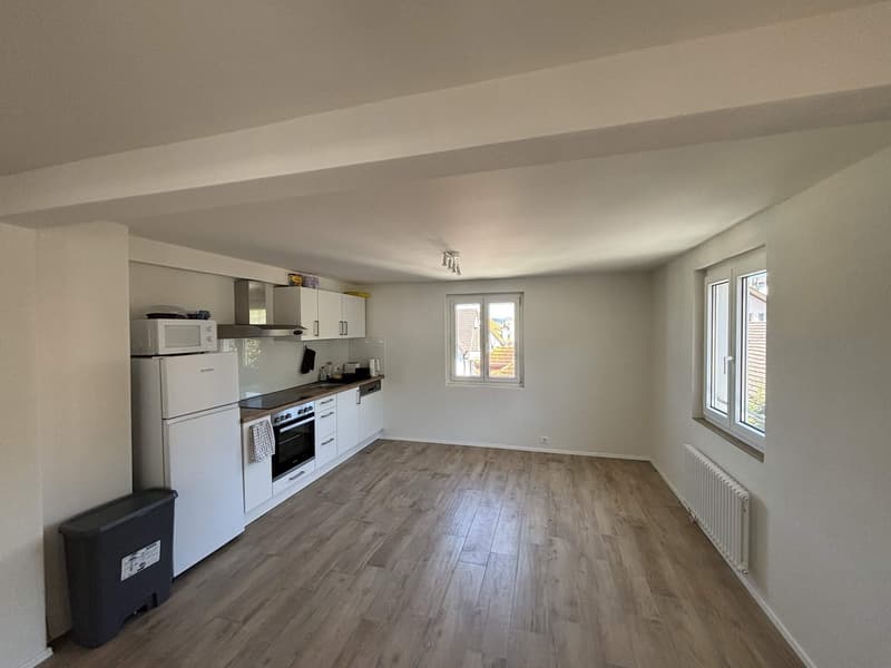 Rent a 3 ½ rooms apartment in Horgen (2)