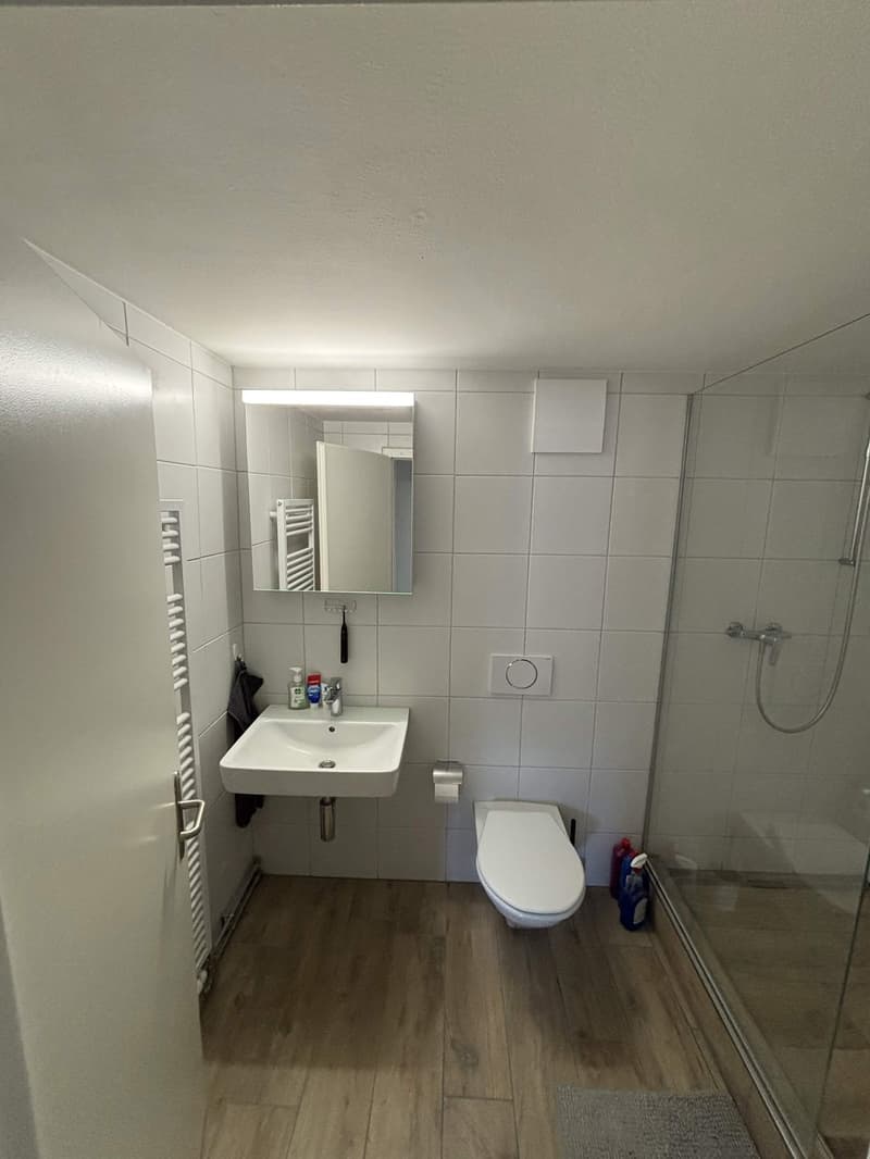 Rent a 3 ½ rooms apartment in Horgen (4)