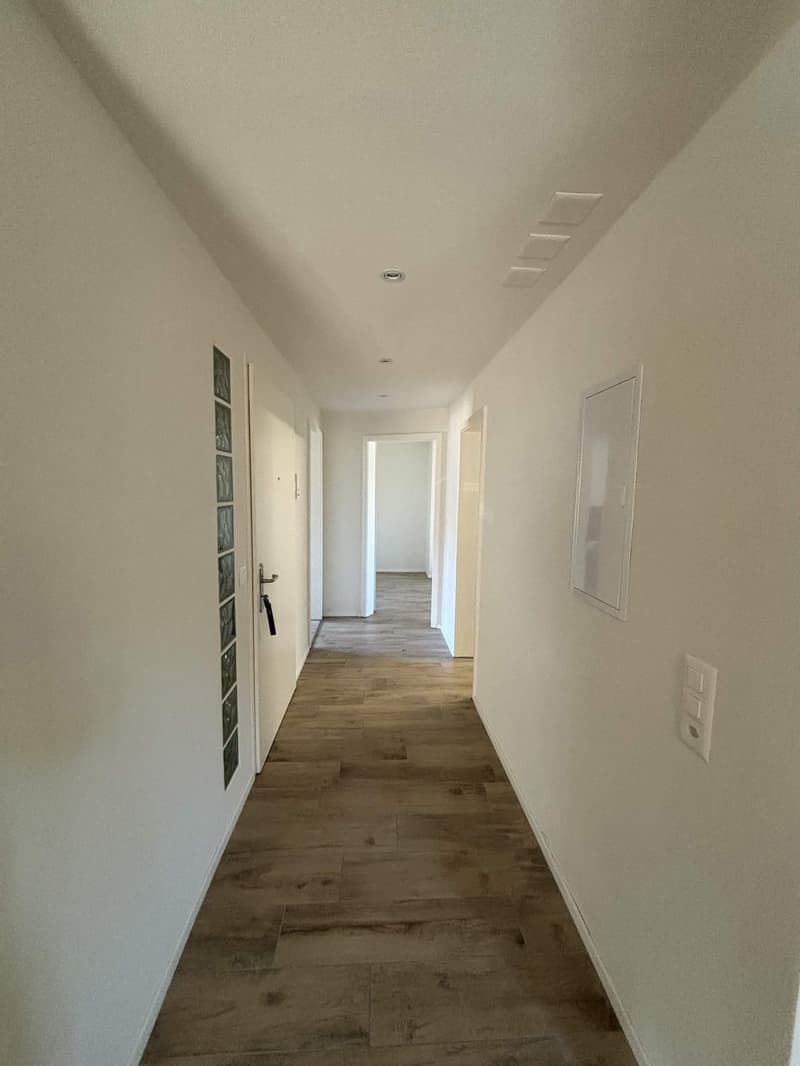 Rent a 3 ½ rooms apartment in Horgen (6)