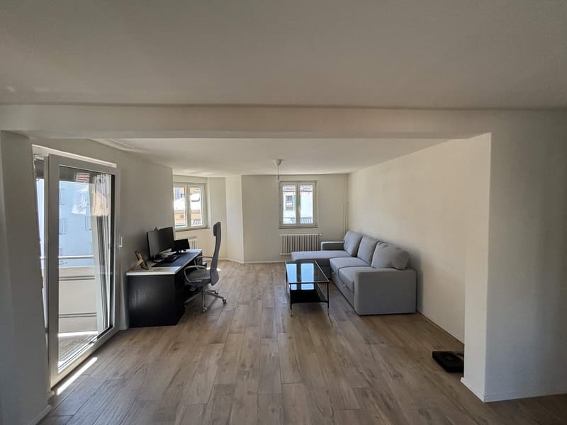 Rent a 3 ½ rooms apartment in Horgen (1)