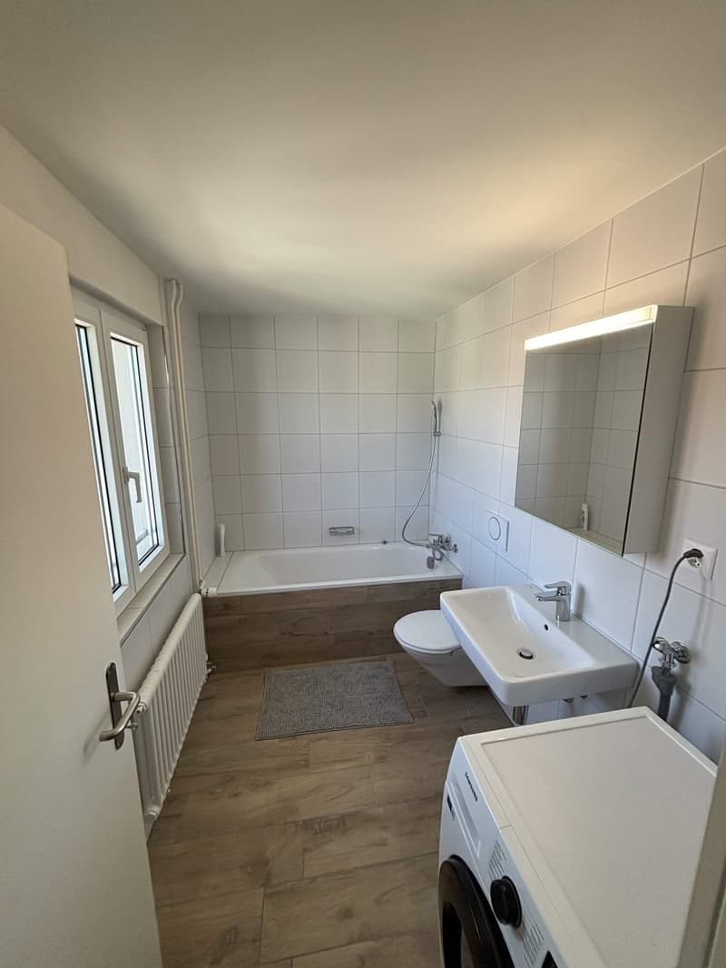 Rent a 3 ½ rooms apartment in Horgen (7)
