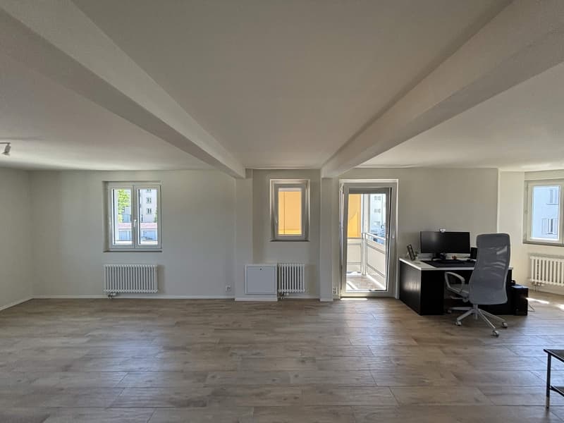 Rent a 3 ½ rooms apartment in Horgen (3)
