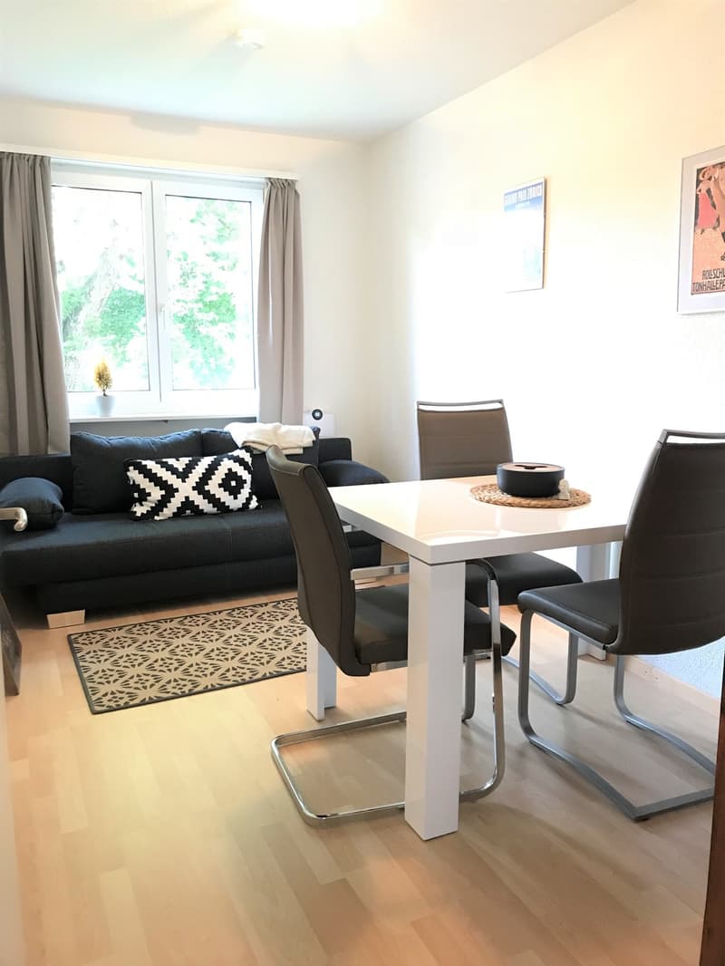 Möblierte 3-Zi-Wohnung ab 01.07.2026 - Nähe Uni/ETH (7)