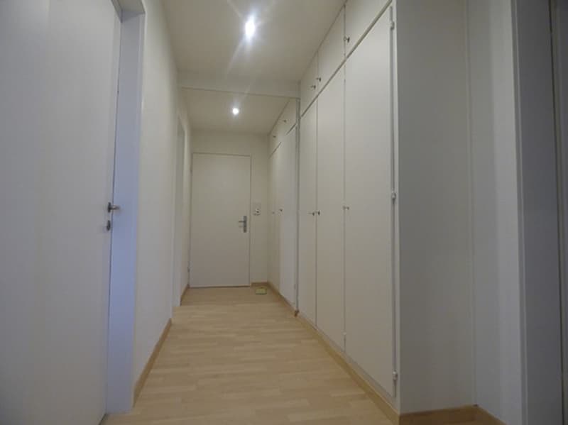 Möblierte 3-Zi-Wohnung ab 01.07.2026 - Nähe Uni/ETH (8)