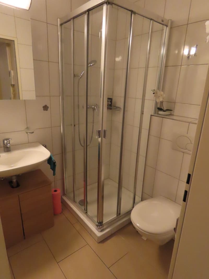 Eigentumstandard im Wettinger Dorfzentrum (8)