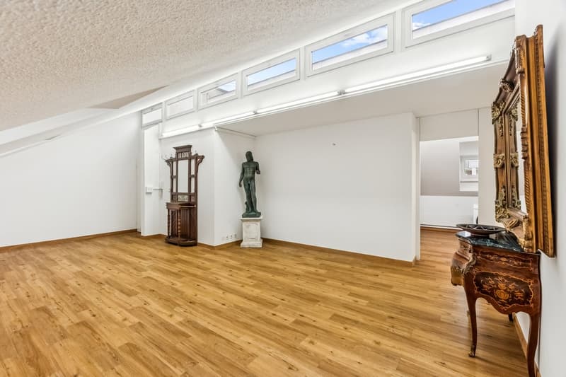 Super zentrale Büro- oder Praxisfläche (2)