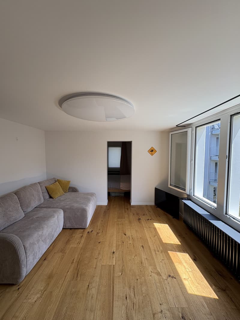 Modern furnished apartment with cellar & attic storage (3)