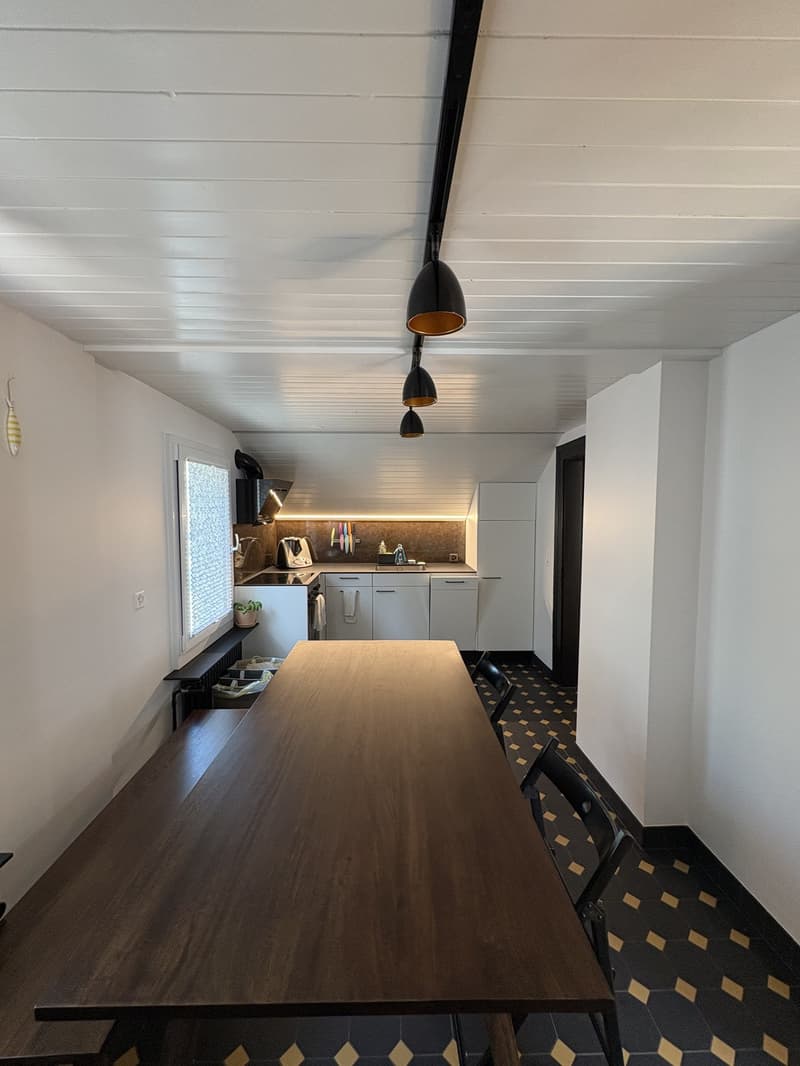 Modern furnished apartment with cellar & attic storage (9)