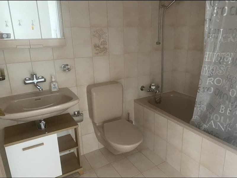 2 1/2 Zimmerwohnung mit eigene Garten ab 1.7. 2026 (4)