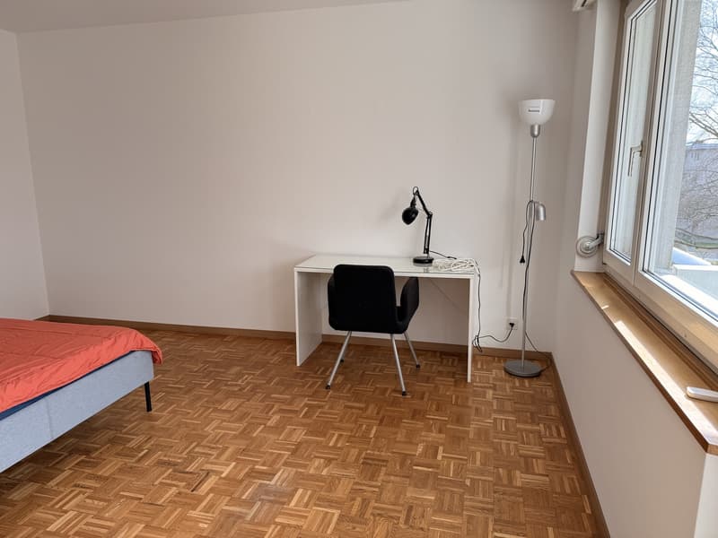 Cozy room in Zurich City (2)