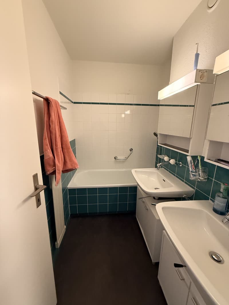 Cozy room in Zurich City (8)