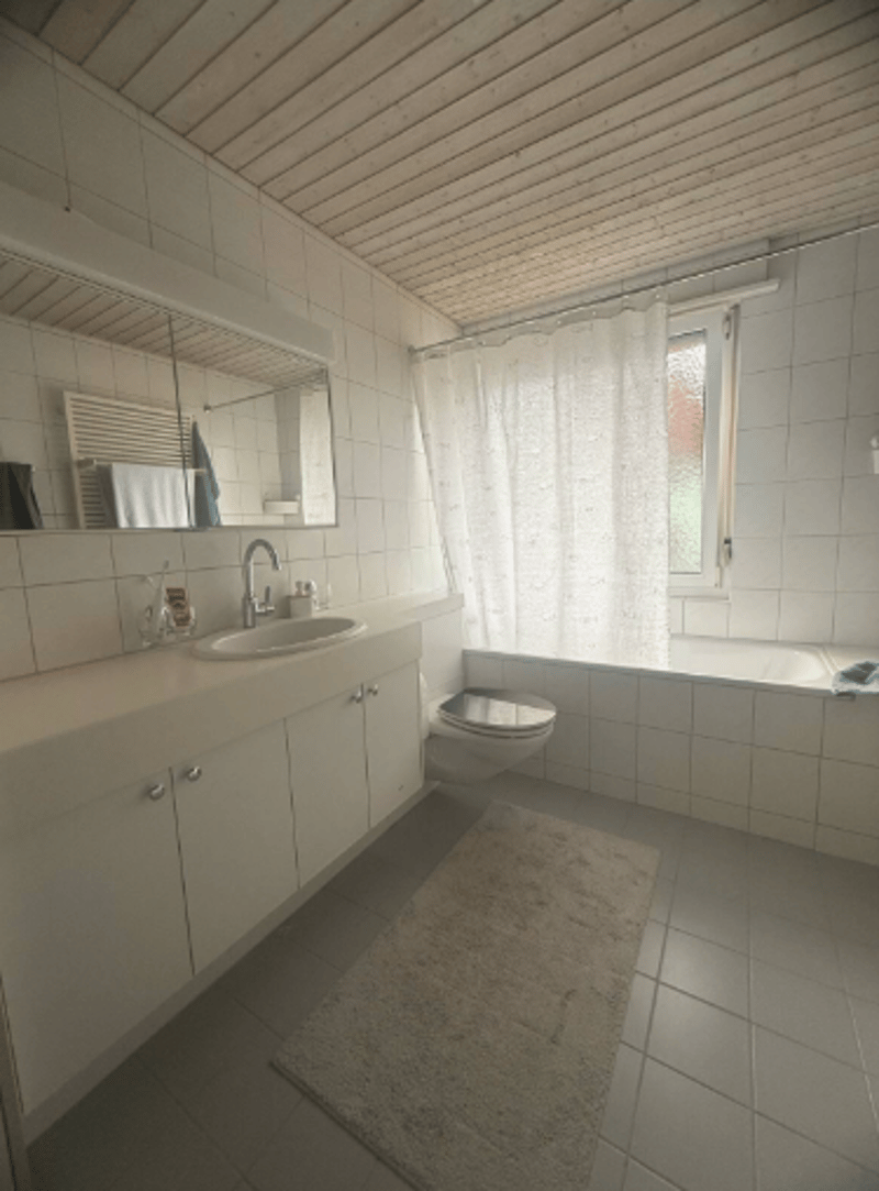 Cozy room in Zurich Richterswil (3)