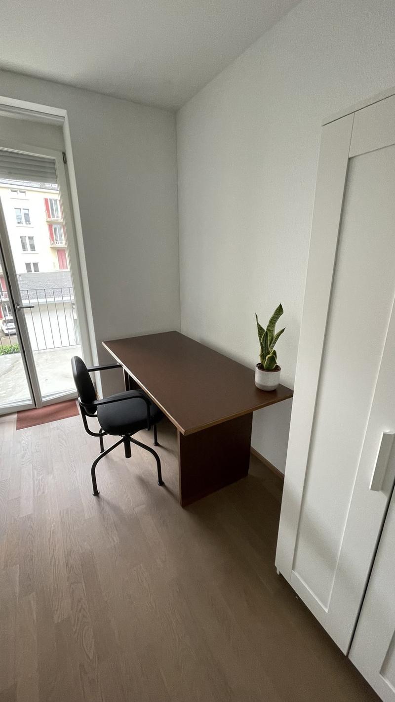 WG Zimmer in grosser schöner Wohnung an bester Lage (2)