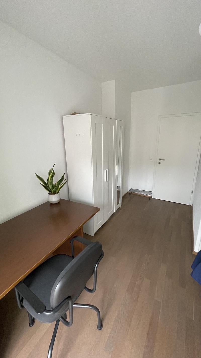 WG Zimmer in grosser schöner Wohnung an bester Lage (6)