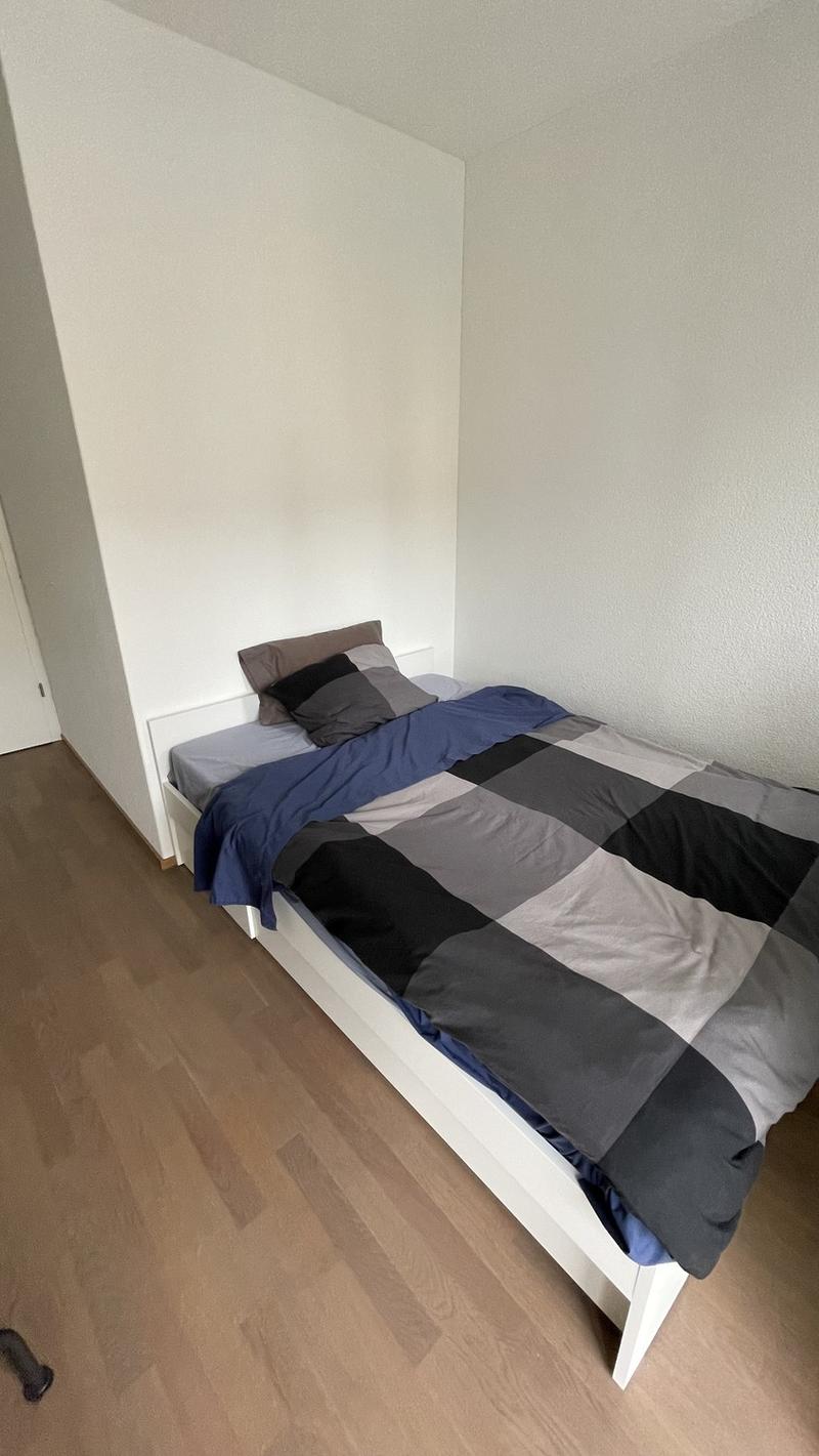 WG Zimmer in grosser schöner Wohnung an bester Lage (5)