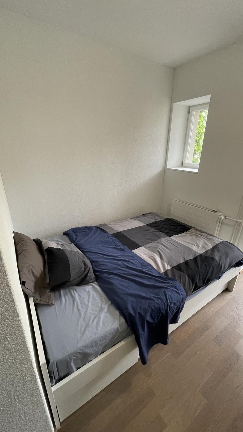 WG Zimmer in grosser schöner Wohnung an bester Lage (3)