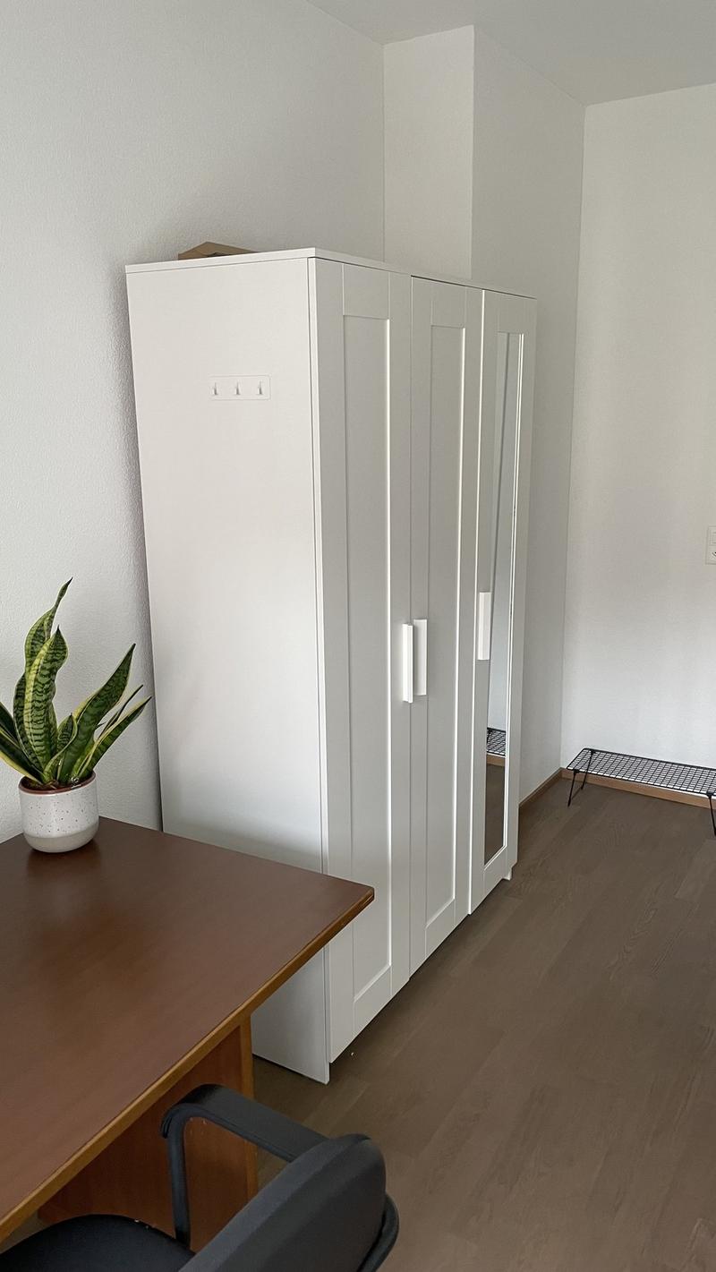 WG Zimmer in grosser schöner Wohnung an bester Lage (7)
