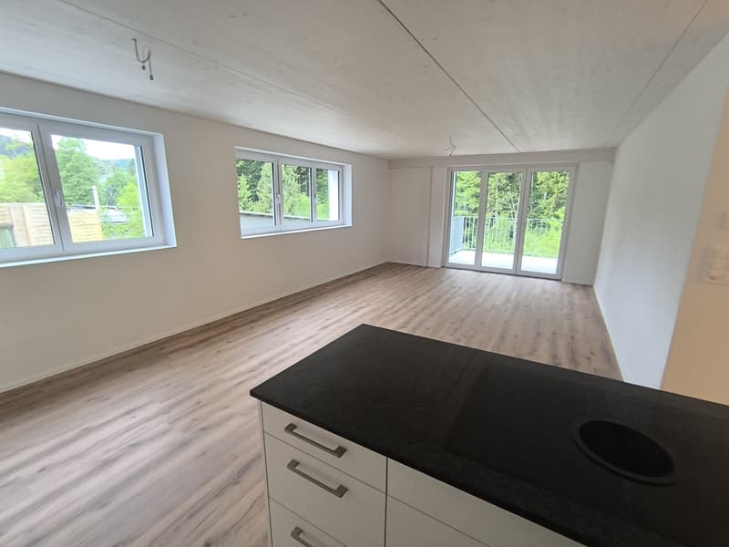 Familienwohnung 4.5-Zimmer im Neubau mit Balkon und Reduit - 105m² (3)