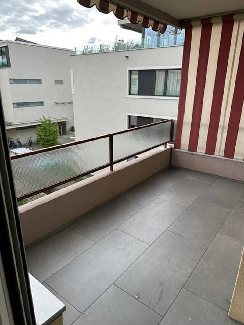 Moderne grosse Wohnung in Allschwil (12)