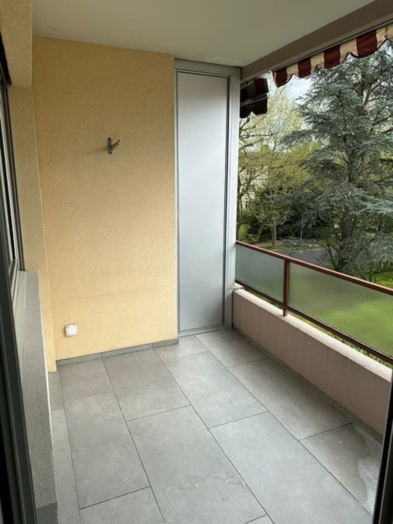 Moderne grosse Wohnung in Allschwil (13)