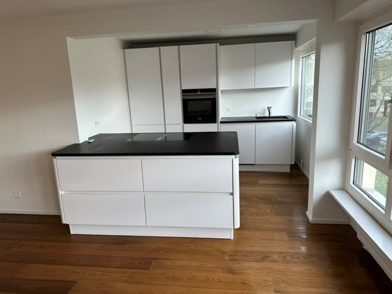 Moderne grosse Wohnung in Allschwil (3)