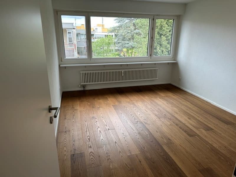 Moderne grosse Wohnung in Allschwil (6)