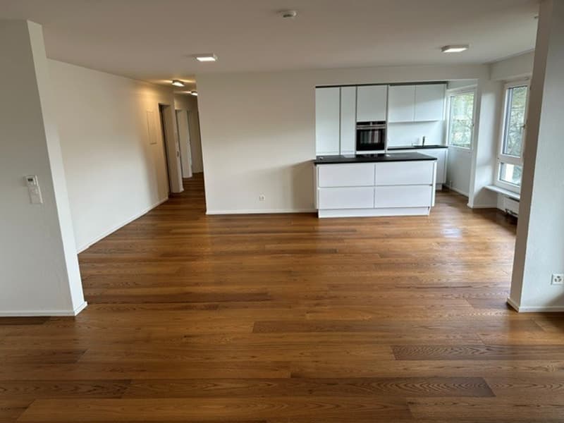 Moderne grosse Wohnung in Allschwil (1)