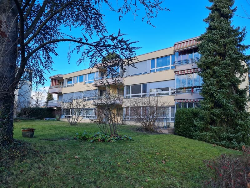 Moderne grosse Wohnung in Allschwil (2)