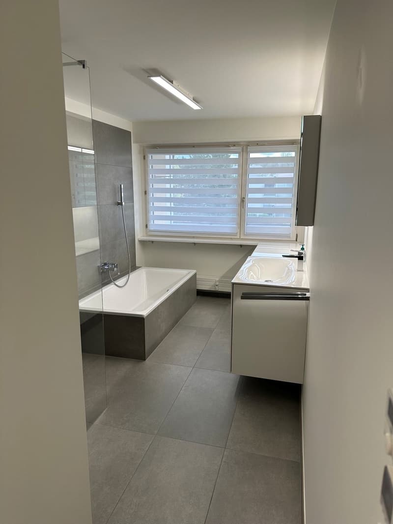 Moderne grosse Wohnung in Allschwil (8)