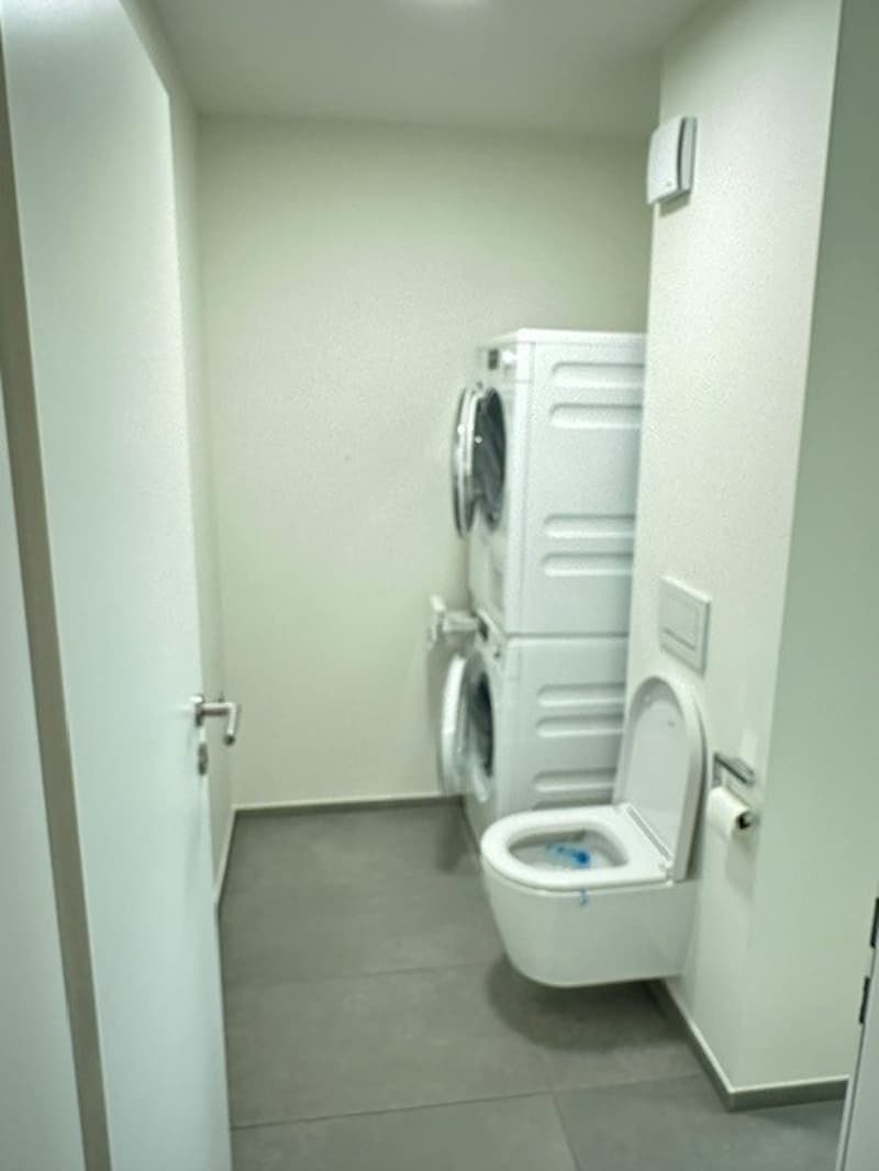 Moderne grosse Wohnung in Allschwil (11)