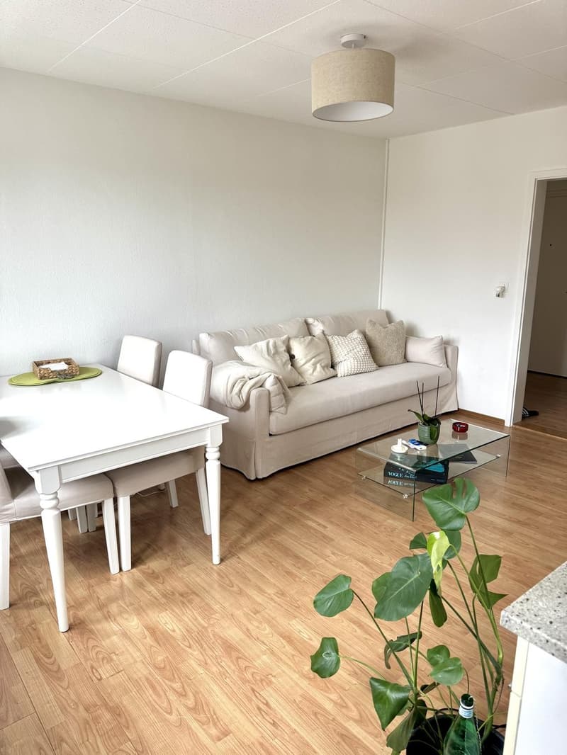 Bright furnished 3.5-room top-floor apartment at Hegibachplatz (Seefeld) sublet AugJan (2)