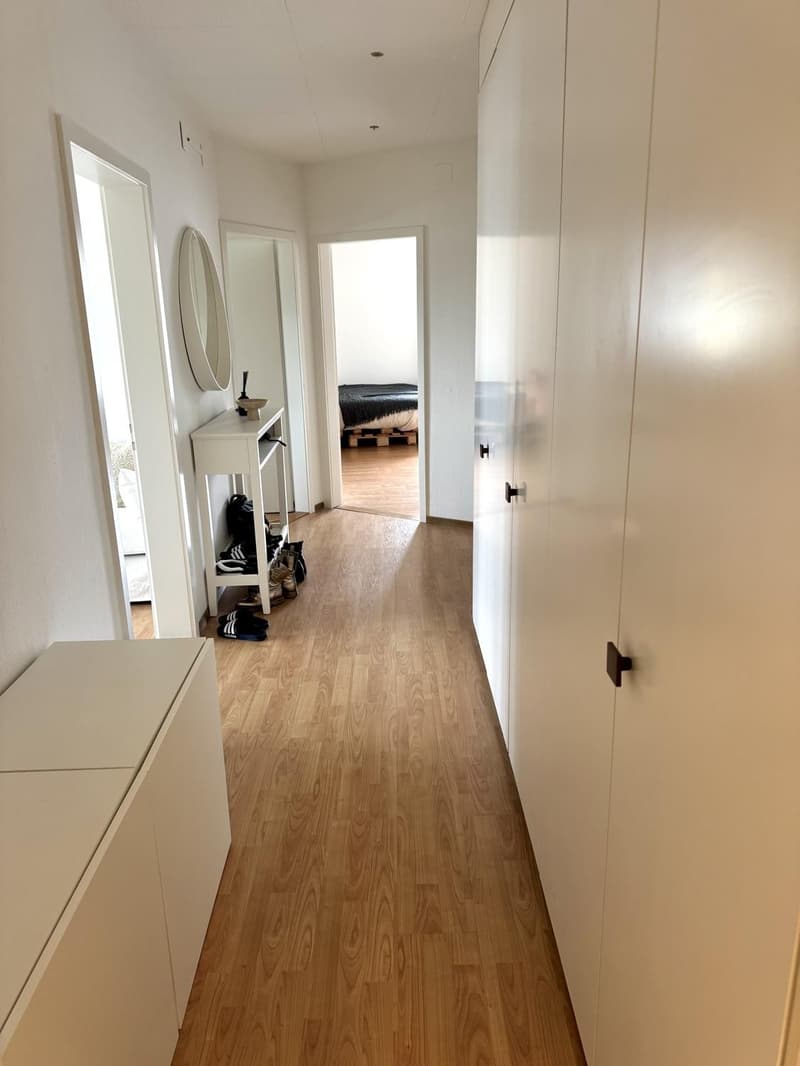 Bright furnished 3.5-room top-floor apartment at Hegibachplatz (Seefeld) sublet AugJan (12)