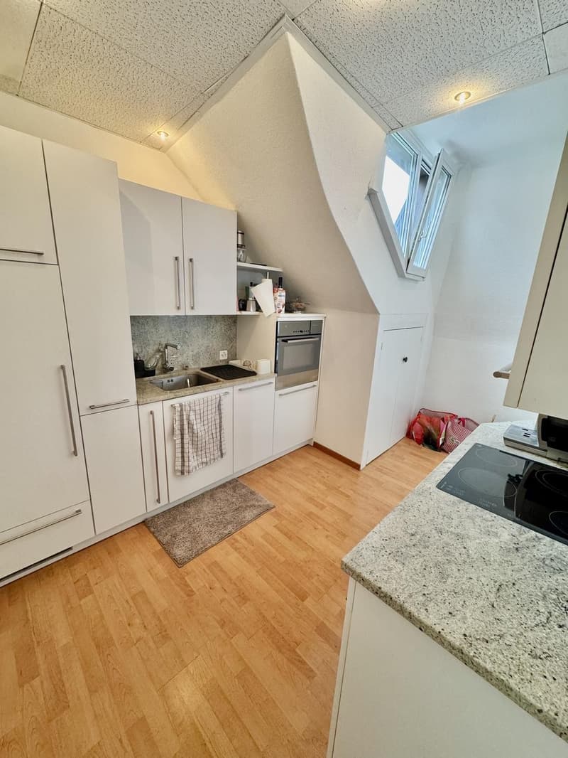 Bright furnished 3.5-room top-floor apartment at Hegibachplatz (Seefeld) sublet AugJan (4)