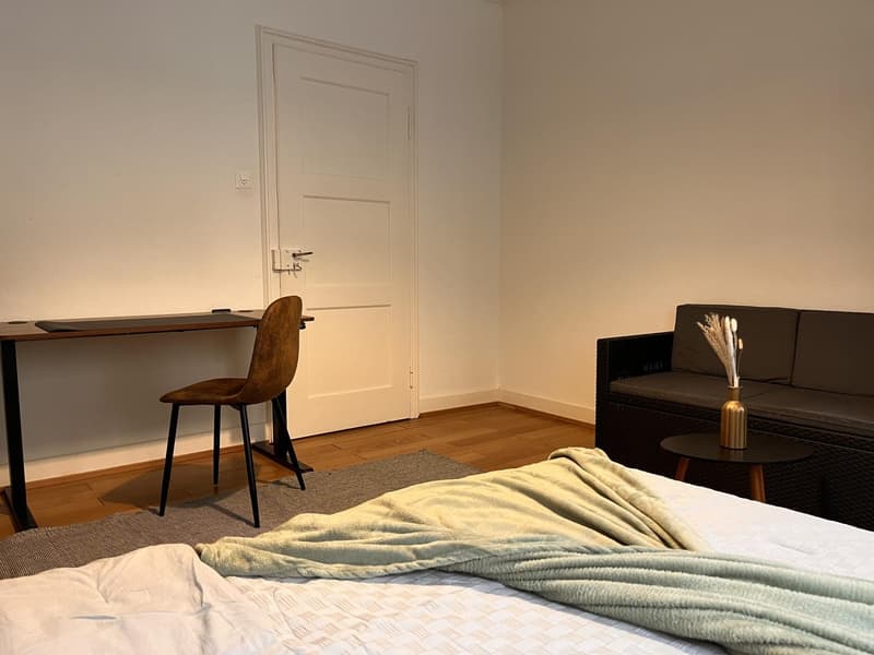WG Zimmer, 4058 Basel (7)