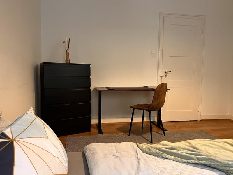 WG Zimmer, 4058 Basel (3)