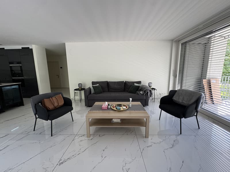 4.5 Rooms with 2 Baths Newly Furnished Apartment Available for Sublet (2)