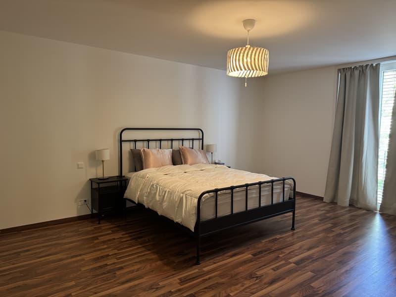 4.5 Rooms with 2 Baths Newly Furnished Apartment Available for Sublet (10)