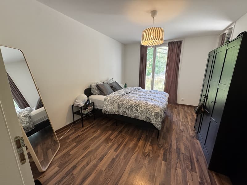 4.5 Rooms with 2 Baths Newly Furnished Apartment Available for Sublet (5)