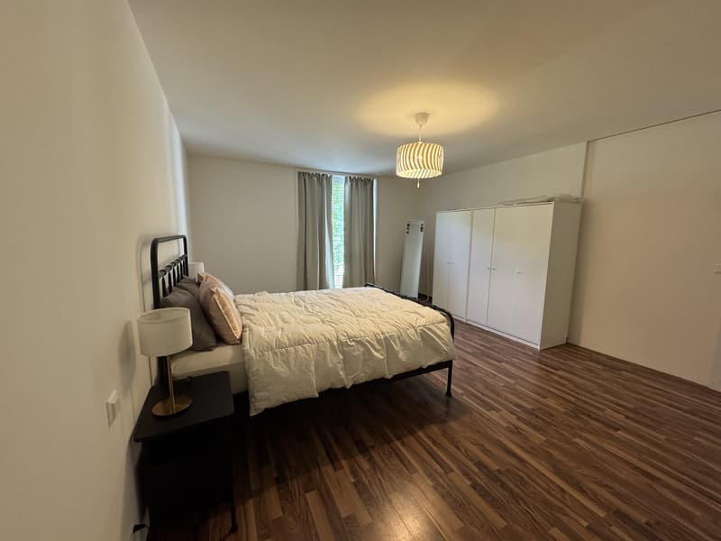4.5 Rooms with 2 Baths Newly Furnished Apartment Available for Sublet (11)