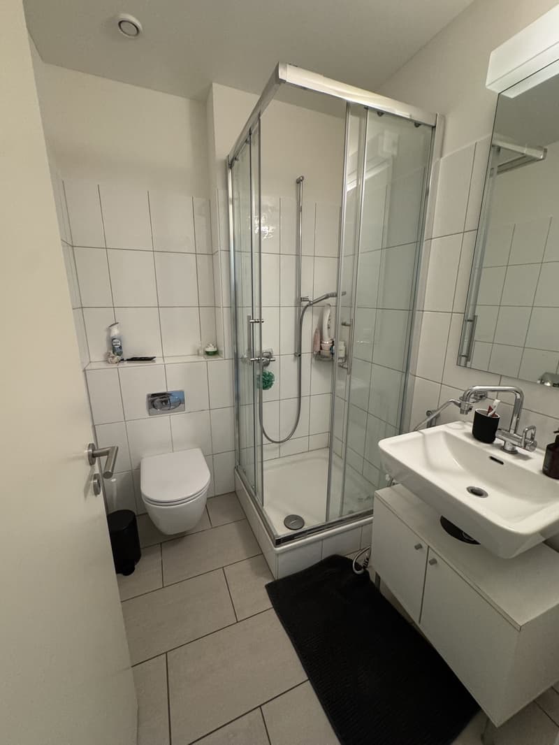 4.5 Rooms with 2 Baths Newly Furnished Apartment Available for Sublet (7)