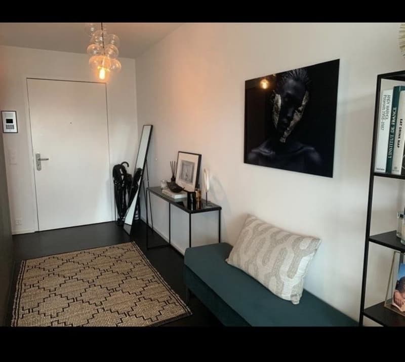 Rent flat furnished (9)