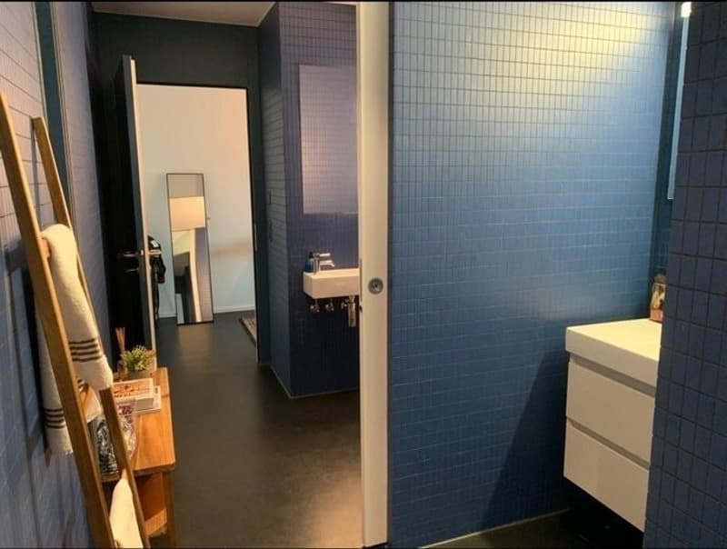 Rent flat furnished (4)