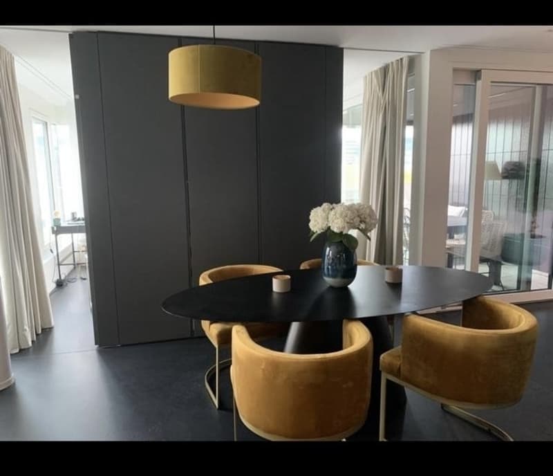 Rent flat furnished (8)