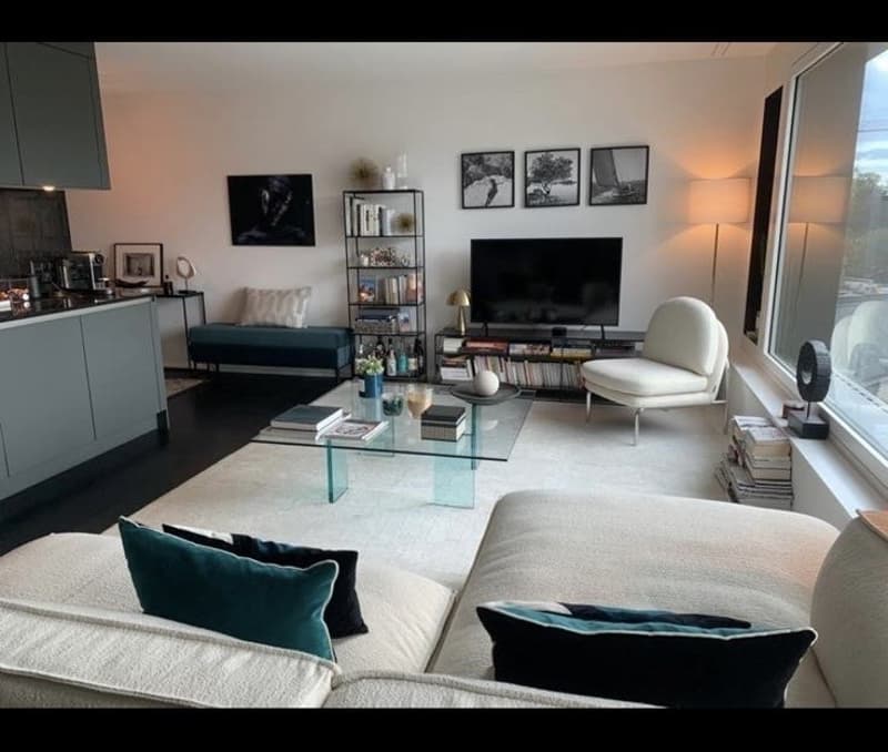 Rent flat furnished (10)