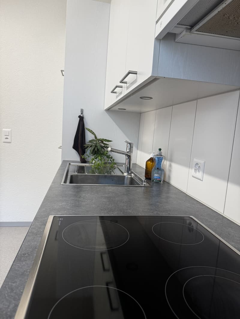 Gemütliche 2-Zimmer-Wohnung im Herzen von Kreis 4 6 Monate ab Juli 2026 (5)
