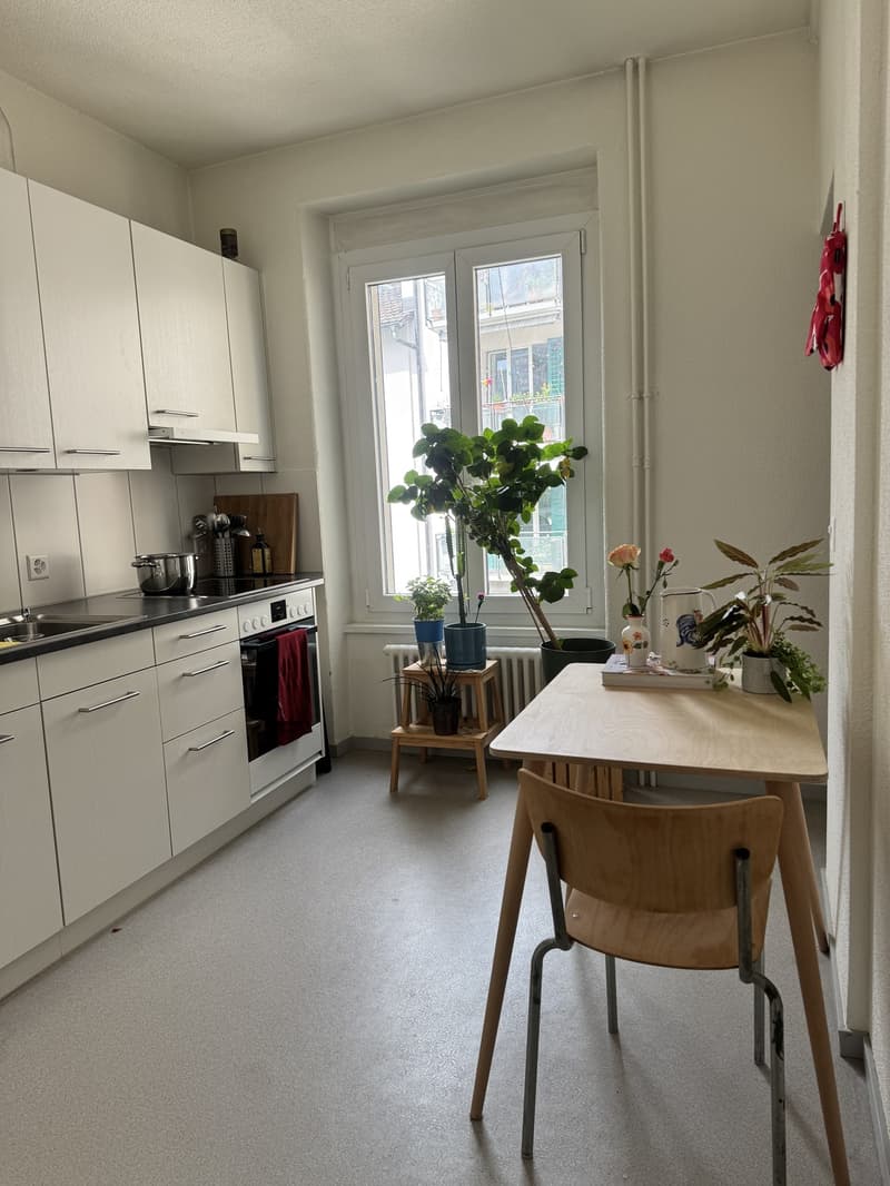 Gemütliche 2-Zimmer-Wohnung im Herzen von Kreis 4 6 Monate ab Juli 2026 (2)