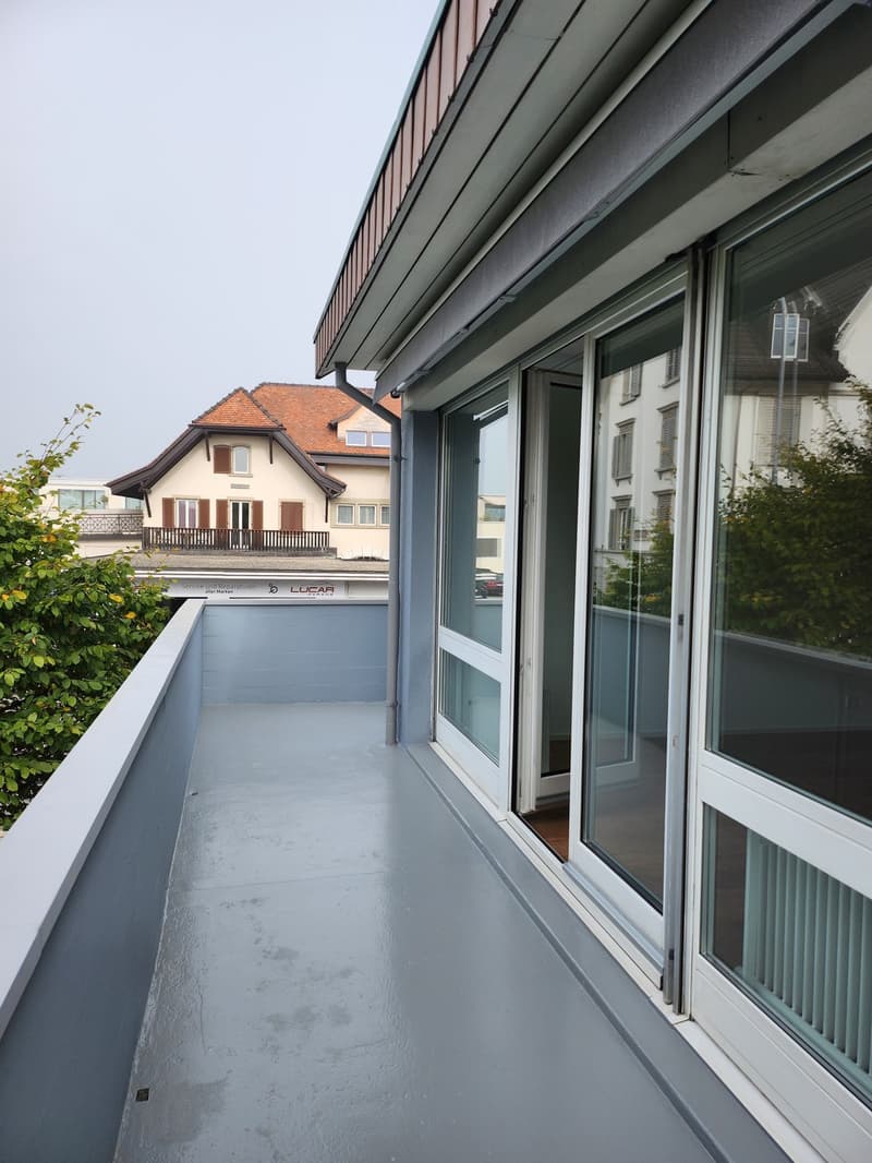 6,5 Zimmer Duplexwohnung ab sofort (12)