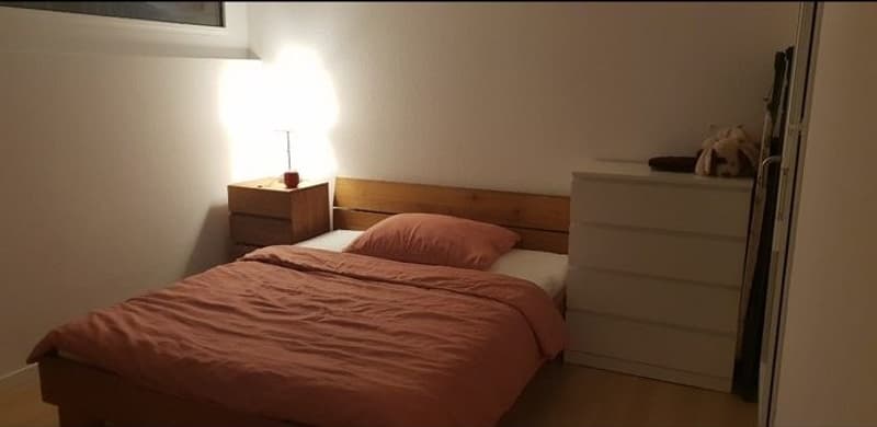 Modern Fully Furnished Apartment including parking in Neudorf Center, Cham, temporary for 13-14 months (6)